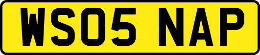 WS05NAP