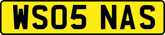 WS05NAS