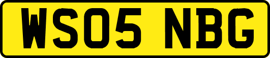 WS05NBG