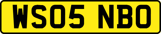 WS05NBO