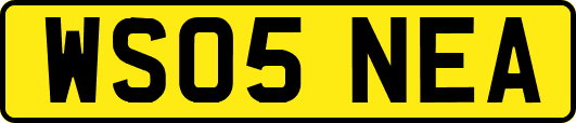 WS05NEA