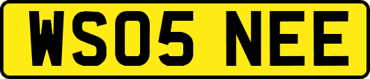WS05NEE