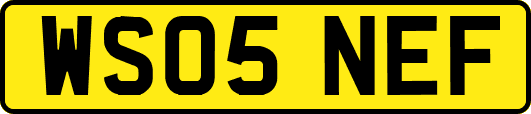 WS05NEF