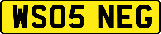 WS05NEG