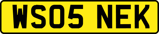 WS05NEK