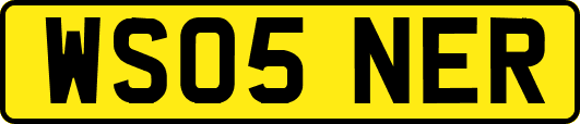 WS05NER