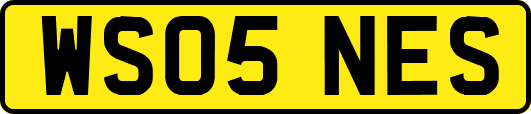 WS05NES