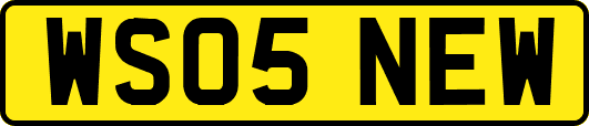 WS05NEW