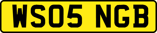 WS05NGB