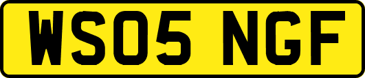 WS05NGF