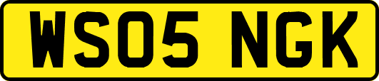 WS05NGK
