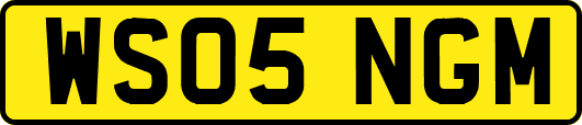 WS05NGM