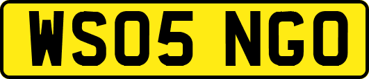 WS05NGO