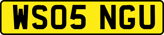WS05NGU