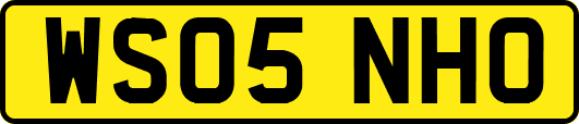 WS05NHO