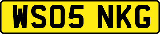 WS05NKG