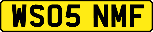 WS05NMF