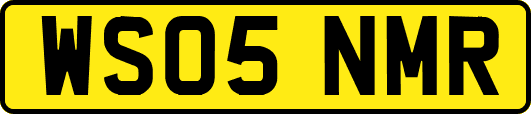 WS05NMR