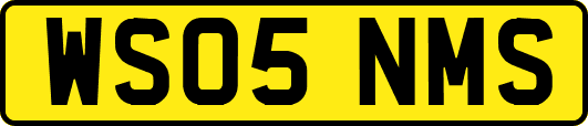 WS05NMS