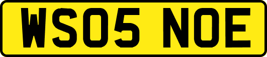 WS05NOE