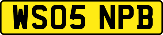 WS05NPB