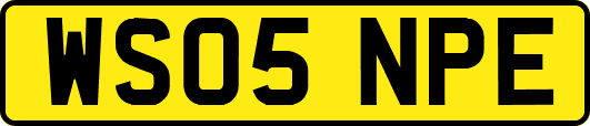 WS05NPE