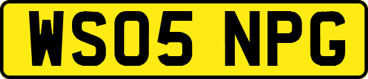 WS05NPG