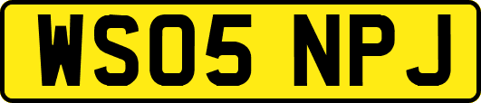 WS05NPJ