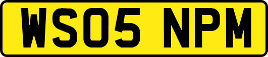 WS05NPM