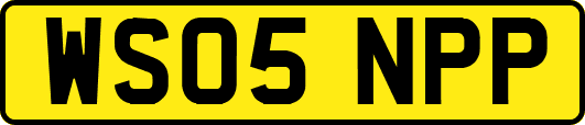 WS05NPP