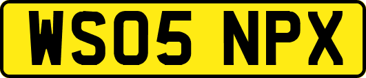 WS05NPX