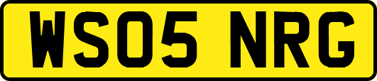 WS05NRG