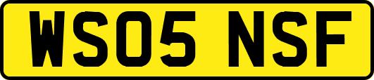 WS05NSF