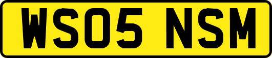 WS05NSM