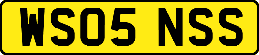 WS05NSS