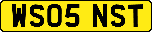WS05NST