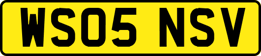 WS05NSV