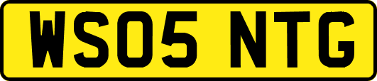 WS05NTG