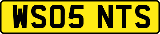 WS05NTS