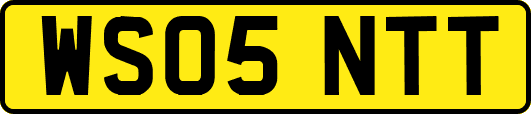 WS05NTT