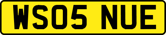 WS05NUE