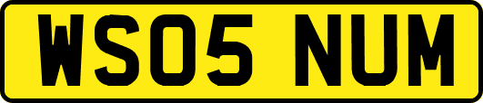 WS05NUM