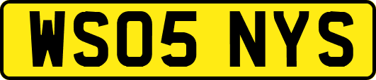 WS05NYS