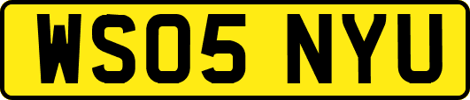 WS05NYU