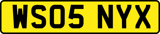 WS05NYX