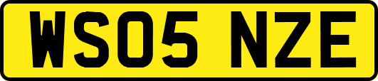 WS05NZE