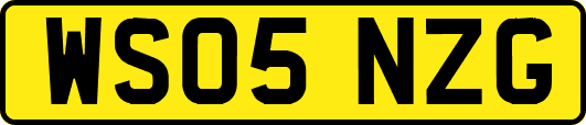 WS05NZG