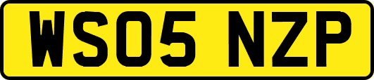 WS05NZP