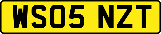 WS05NZT