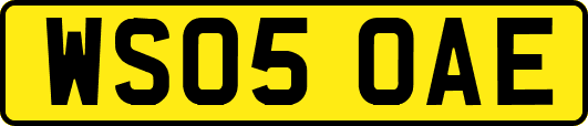 WS05OAE